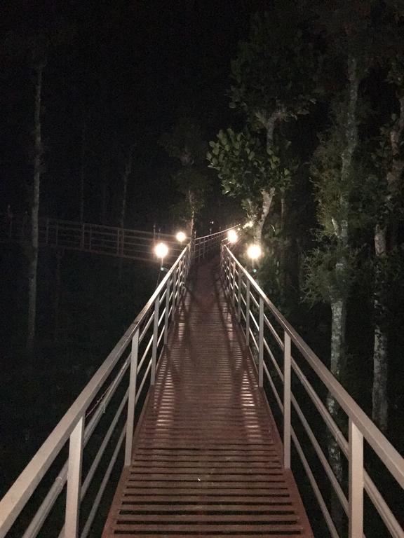 Harmony Farm Wayanad Villa สุลต่านบาเทรี ภายนอก รูปภาพ